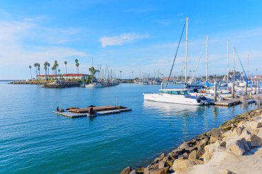 Okyanus Kenarı, Kaliforniya - 27 Aralık 2024: Okyanus Kıyısı Limanı 'na yanaşmış Gemiler ve Deniz Aslanları