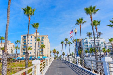 Oceanside, California - 26 Aralık 2024: Oceanside, Kaliforniya 'da Palmiye Ağaçları Sıralanmış Yürüme Yolu
