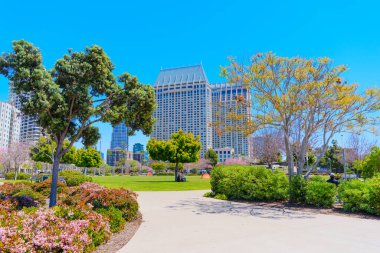 San Diego, California - 16 Nisan 2024: San Diego, Kaliforniya 'da Modern Gökdelenli Vibrant City Park Scene