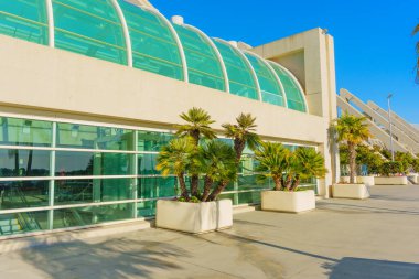 San Diego, California - 14 Ocak 2025 Palm Trees ve Clear Blue Sky ile San Diego Kongre Merkezi