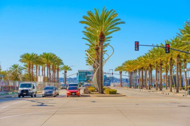 San Diego, California - 14 Ocak 2025: Palm Trees ve Trafik Işıkları ile San Diego, Kaliforniya 'da Tropikal Sokak