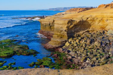 San Diego, California - 14 Ocak 2025 Tide Pool ve Vibrant Ocean View ile San Diego Sahili Uçurumları