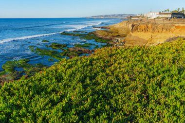 San Diego, Kaliforniya 'da yemyeşil verimli kıyı manzarası