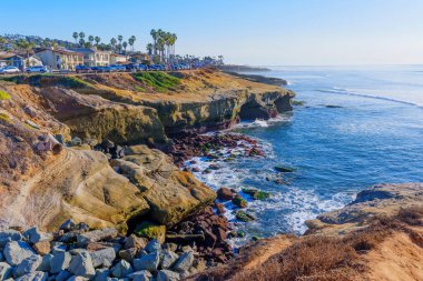 Palmiye ağaçları ve okyanusla San Diego, California Sahil Kıyısı Manzarası
