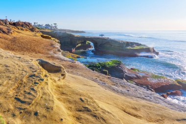 San Diego, Kaliforniya 'daki La Jolla Koyu' nun Çarpıcı Sahil Manzarası