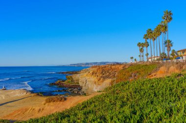 Palm Trees ve Cliffs ile San Diego Manzarası