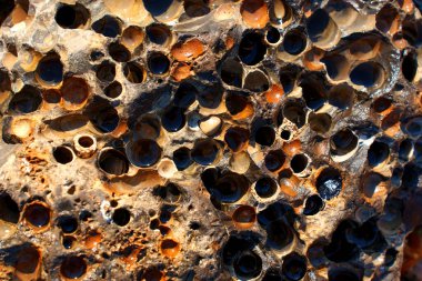 Güneş ışığıyla aydınlatılan, Palos Verdes 'teki çeşitli toprak tonlarını ve doğal dokuları aydınlatan, entrika şekilli kaya oluşumları delikler ve dokular sergiliyor..