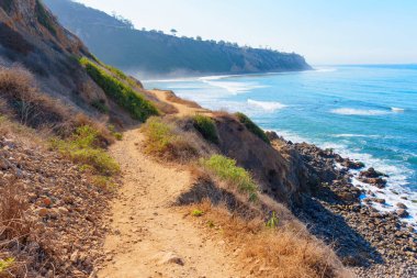 Çarpıcı Kayalık Koyu Manzarası: Sörfçüler, Patikalar ve Sahil Sükuneti