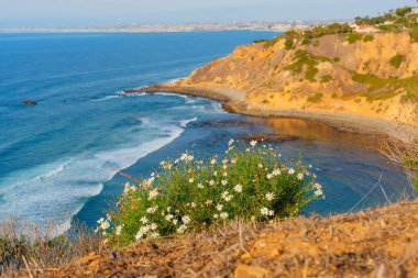 Kaliforniya 'daki Palos Verdes Kıyı Şeridi Güzel Sahil Manzarası
