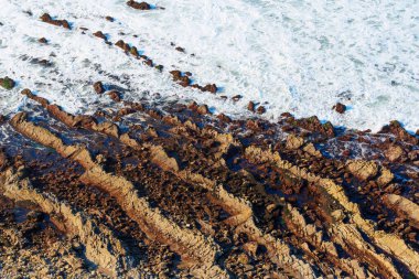 Palos Verdes, Kaliforniya 'daki Lunada Körfezi' nde çarpıcı bir kıyı manzarası.