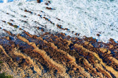 Palos Verdes Emlak 'taki Rocky Shoreline ve Dalgaları Hava Görüntüsü, CA
