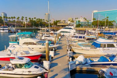 Long Beach, California - 11 Ocak 2025: Hyatt Regency Hotel 'de limanda palmiye ağaçları ve berrak mavi gökyüzü ile rıhtıma yanaşmış çok sayıda yat ve tekne bulunuyor..