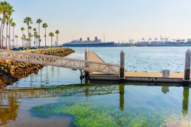 Long Beach, California - 11 Ocak 2025 Long Beach 'teki ikonik Kraliçe Mary' nin sakin suları ve palmiye ağaçları ile sakin bir atmosfer yaratıyor..