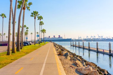 Long Beach, California - 11 Ocak 2025 Palmiye ağaçlarıyla kaplı Picturesque patika Long Beach, Kaliforniya 'da sakin bir rıhtıma kurulmuş olan Kraliçe Mary' ye çıkıyor..