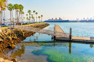 Long Beach, California - 11 Ocak 2025 Queen Mary 'nin ve etrafındaki Long Beach' in göz kamaştırıcı manzarası, canlı palmiye ağaçları ve dingin suları sergiliyor..