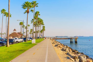 Long Beach, California - 11 Ocak 2025: Long Beach, Kaliforniya 'da sakin bir patika, palmiye ağaçları, canlı bir mavi okyanus, ve gündüz vakti limanda gezinmek için mükemmel bir ahşap iskele..