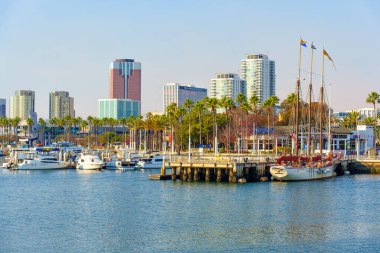 Long Beach, California - 11 Ocak 2025: Long Beach, California 'da lüks yatlarla kenetlenmiş tarihi bir korsan gemisinin bulunduğu canlı kıyı manzarası, Kaliforniya Bank and Trust binası da arka planda..