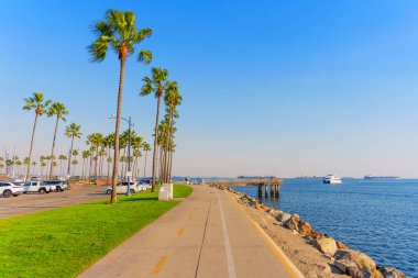 Long Beach, California - 11 Ocak 2025 Long Beach, Kaliforniya 'da sakin kıyı şeridi, açık mavi gökyüzü ve durgun suları olan yüksek palmiye ağaçları ile kaplı, güneşli havalarda yürümek veya bisiklet sürmek için mükemmel..