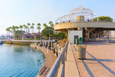 Long Beach, California - 11 Ocak 2025: Long Beach Kongre Salonu 'ndaki asansörün çarpıcı görüntüsü, palmiye ağaçları, su ve açık mavi gökyüzü altındaki ikonik yapı geniş bir açıdan çekildi..