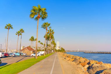 Long Beach, California - 11 Ocak 2025: Palmiye ağaçları ve marina, tekne ve şehir manzaralarıyla dolu, Long Beach, California 'da açık mavi gökyüzü altında geniş açılı bir perspektifte çekildi..