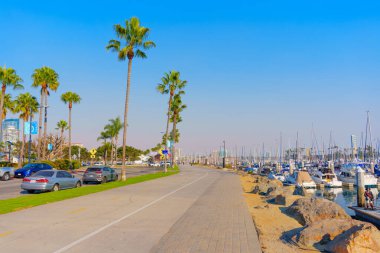 Long Beach, California - 11 Ocak 2025: Long Beach marina yolu manzarası palmiye ağaçları, park edilmiş arabalar ve gün ışığında yakalanan yelkenli ve yatlarla dolu bir liman..