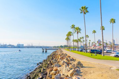 Long Beach, California - 11 Ocak 2025 Long Beach, Kaliforniya 'da güneşli bir rıhtım sahnesi, yürüyüş yolu boyunca palmiye ağaçları, kıyılarda kayalar ve suda kayıklar, güpegündüz yakalanmış..