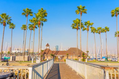 Long Beach, California - 11 Ocak 2025: Canlı palmiye ağaçları, büyüleyici bir bina ve açık mavi gökyüzü altında sayısız yelkenli bulunan Long Beach marinasının manzarası.