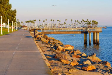 Long Beach, California - 11 Ocak 2025: Kaliforniya 'da palmiye ağaçlarıyla kaplı, günbatımında sakin sulara uzanan çakıl taşlı bir sahil ve ahşap iskele manzaralı Long Beach, Kaliforniya rıhtım yolu.