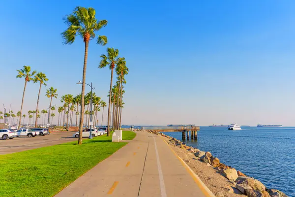 Long Beach, California - 11 Ocak 2025 Long Beach, Kaliforniya 'da sakin kıyı şeridi, açık mavi gökyüzü ve durgun suları olan yüksek palmiye ağaçları ile kaplı, güneşli havalarda yürümek veya bisiklet sürmek için mükemmel..