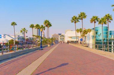 Long Beach, California - 11 Ocak 2025: canlı, geniş açılı manzara, açık mavi gökyüzü ve davetkar atmosferi ile Long Beach Kongre Merkezi 'ne uzanan palmiyeli bir yürüyüş yolu gösteriyor..