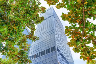 Los Angeles, Kaliforniya - 4 Aralık 2024: Canlı dallar ve yapraklarla çerçevelenmiş Los Angeles City National Plaza 'nın yakın görüntüsü, açık bir gökyüzüne karşı modern mimariyi gözler önüne seriyor..