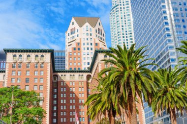 Los Angeles, Kaliforniya - 3 Aralık 2024: Los Angeles, Kaliforniya şehir merkezinde açık mavi bir gökyüzü altında palmiye ağaçları ile çevrili tarihi Biltmore Oteli geniş açılı manzara.