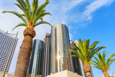 Los Angeles, Kaliforniya - 4 Aralık 2024: Los Angeles 'taki Westin Bonaventure Oteli' nin geniş açılı görüntüsü modern mimari, palmiye ağaçları ve açık mavi bir gökyüzü sergilenmektedir..
