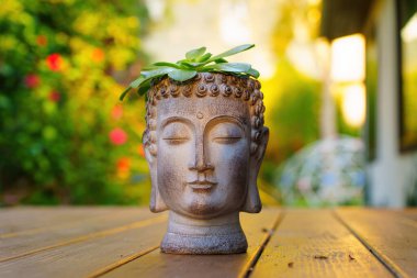 Los Angeles, Kaliforniya - 7 Aralık 2024: Altın saat boyunca yumuşak ve bulanık bir bahçe zeminine karşı hazırlanan sulu bir bitkinin yer aldığı bir Buddha baş saksının yakın çekimi.