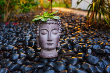 Los Angeles, California - 7 Aralık 2024: Serene Buddha heykeli, huzurlu bir bahçe ortamında sıcak bir akşam ışığı ile aydınlanan pürüzsüz siyah çakıl taşlarının arasında oturur.