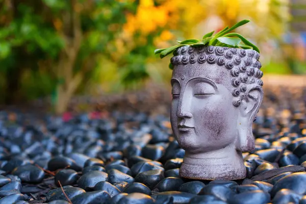 Los Angeles, California - 7 Aralık 2024: Serene Buddha 'nın yeşil başlıklı saksısı, pürüzsüz siyah çakıl taşları üzerine kurulmuş, doğal ışık altında rahatlatıcı bir bahçe atmosferi yaratıyor..