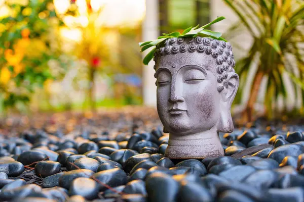 Los Angeles, Kaliforniya - 7 Aralık 2024: Huzurlu Buda 'nın baş saksısı, siyah çakıl taşları üzerinde dinleniyor, sıcak akşam ışığı ve sükuneti yakalıyor.