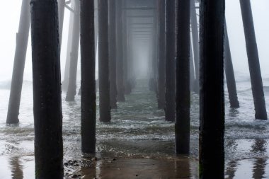 Oceanside Belediye İskelesi 'nin altından, sabahın erken saatlerinde sisli sulardan çıkan ahşap sütunlar görülüyor..