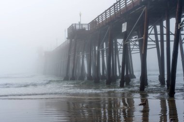 Sis, Oceanside Belediye İskelesi 'ni kaplayarak Kaliforniya' da sabahın erken saatlerinde sakin bir sahil manzarası yaratır..