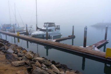 Oceanside, California - 3 Ocak 2025: Oceanside, Kaliforniya 'da sakin marina sahnesi, sisli bir atmosferde demirlemiş tekneler, durgun suları ve kayalık kıyı şeridini aydınlatıyor..