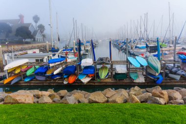 Oceanside, California - 3 Ocak 2025: Canlı kano ve yelkenliler Oceanside, Kaliforniya 'da bir marinada dizilmiş, sabahın erken saatlerinde sisli havada yakalandılar..