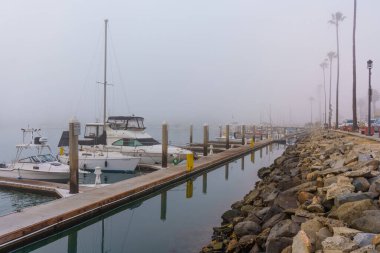 Oceanside, California - 3 Ocak 2025: Kaliforniya Oceanside Limanı 'nın sakin manzarası, kıyıya demirlemiş tekneler, sisli koşullar ve liman boyunca uzanan palmiye ağaçları.
