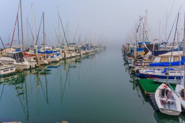 Okyanus Kenarı, Kaliforniya - 3 Ocak 2025: Okyanus Kenarı, Kaliforniya 'da sakin bir marina, sudaki çok sayıda teknenin yer aldığı, sabah sisi ile örtülmüş, sakin bir atmosfer yaratıyor.