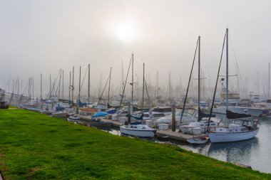 Oceanside, California - 3 Ocak 2025: Oceanside, Kaliforniya 'da sisli sayısız yelkenlinin bulunduğu sakin marina sahnesi, sabahın erken saatlerinde sakin bir atmosfer yaratıyor..