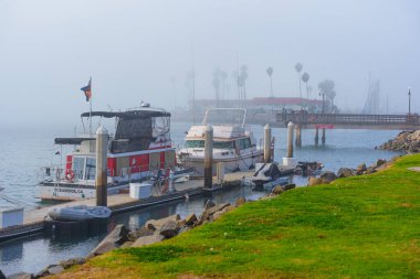 Oceanside, California - 3 Ocak 2025: Oceanside Limanı, Kaliforniya 'nın sakin manzarası, sisli havada yanaşan tekneler ve arka planda palmiye ağaçları.