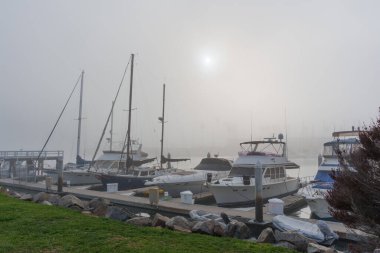 Oceanside, California - 3 Ocak 2025: Oceanside, Kaliforniya 'da sakin bir sabah boyunca sislerle kaplı tekneler ve hafif su yansımalarının yer aldığı sakin marina sahnesi.