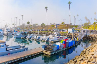 Oceanside, California - 3 Ocak 2025: Oceanside, Kaliforniya 'da sakin marina, yumuşak sabah ışığı altında tekneler, renkli kutular ve palmiye ağaçları, kıyı yaşam tarzı temaları için mükemmel.
