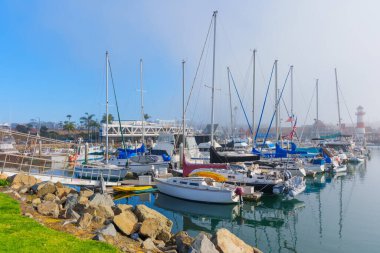 Oceanside, California - 3 Ocak 2025: Tranquil liman sahnesinde çeşitli yat ve yelkenliler okyanus kıyısına yanaştı, açık gökyüzü ve yumuşak sabah ışığı altında.