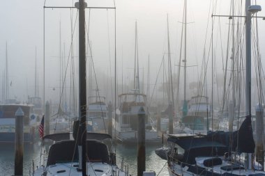 Oceanside, California - 3 Ocak 2025: Oceanside Limanı 'nın sisli atmosferde sayısız tekne ve direğin yer aldığı sakin manzarası.