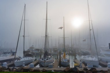 Oceanside, California - 3 Ocak 2025: Oceanside Limanı, Kaliforniya 'da sisli ve güneşli bir havada yüzen yelkenlilerin olduğu sakin bir sabah sahnesi.